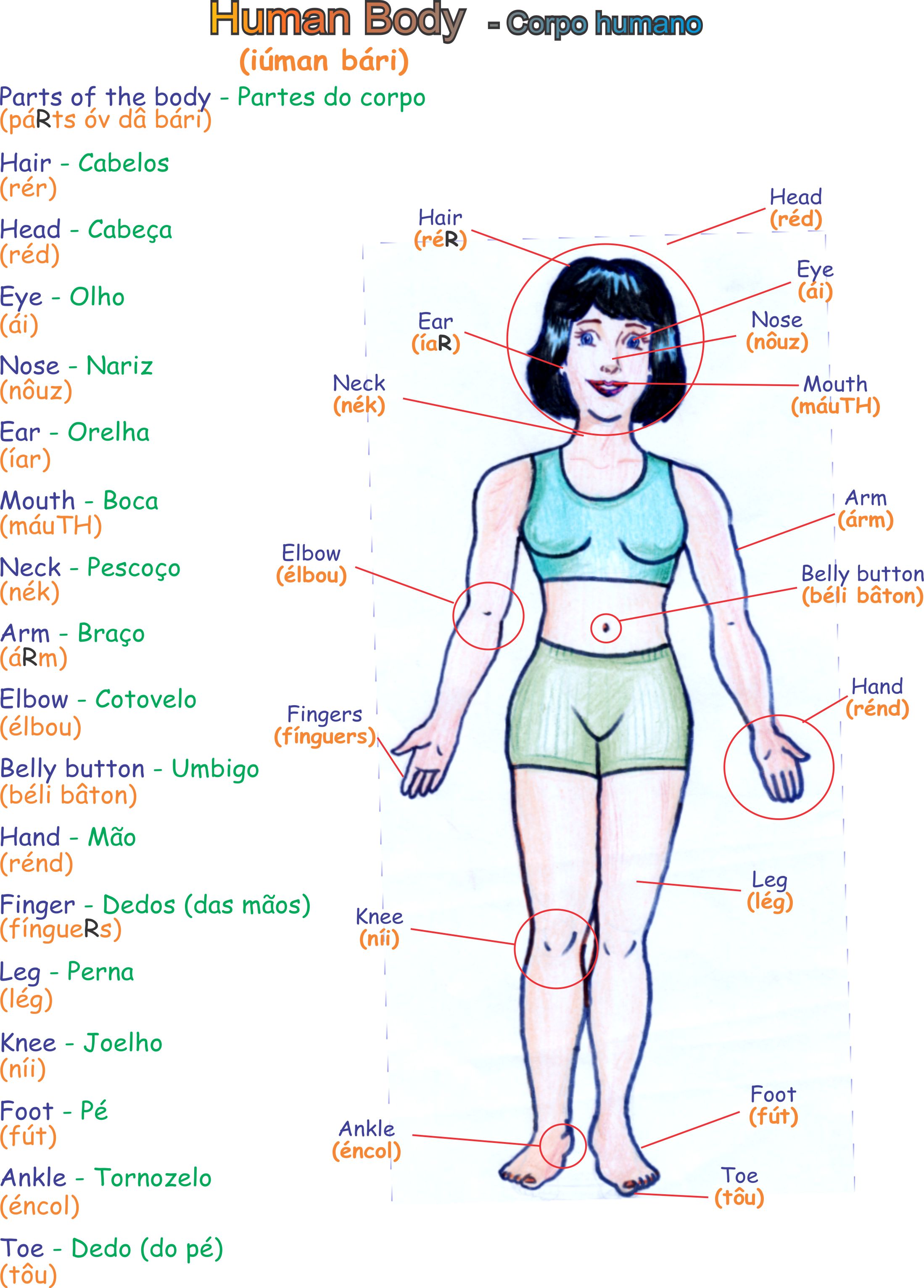 parts of the body